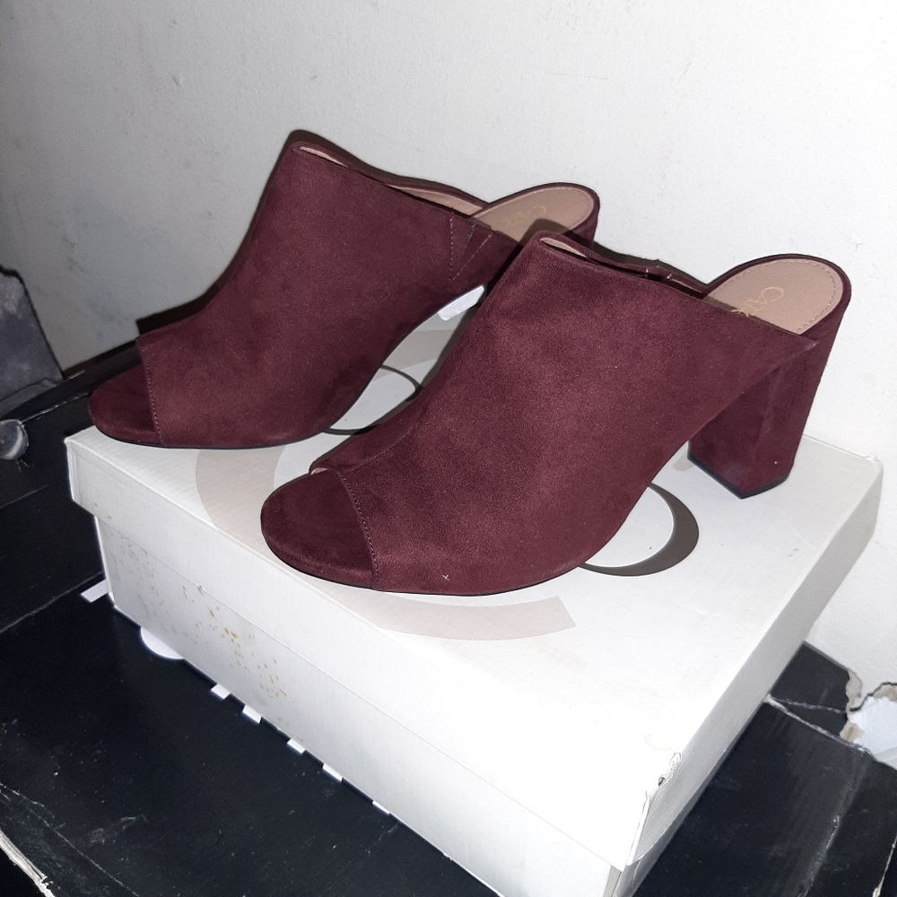 Burgundy shoes